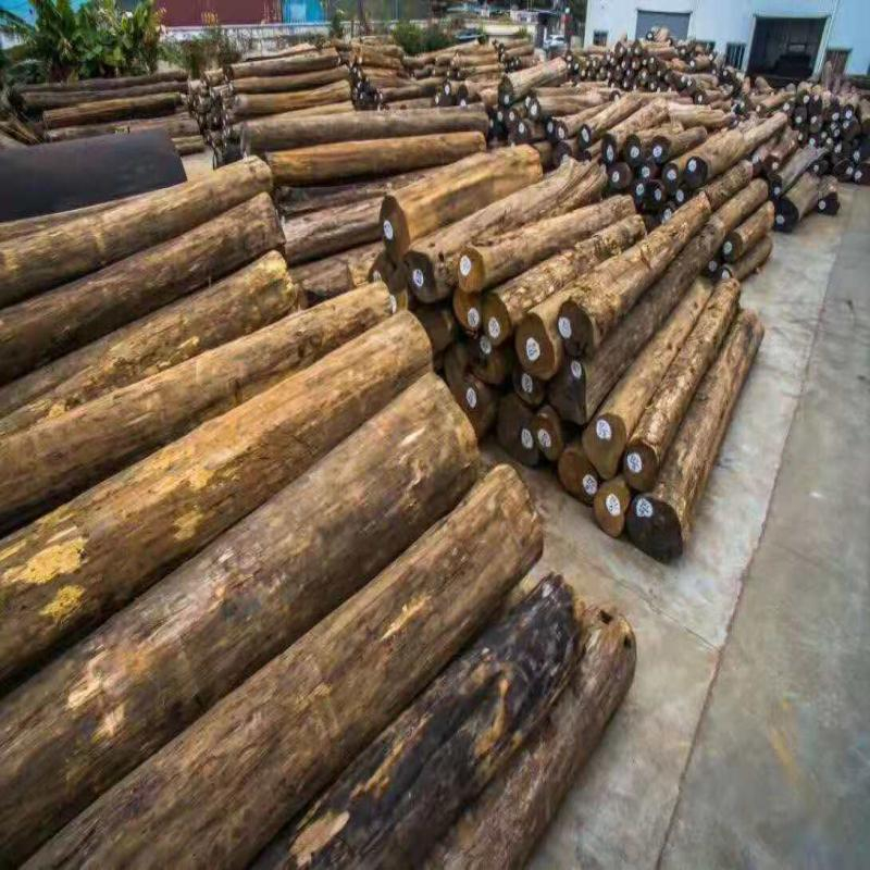 Entdecken Sie die Essenz der Eleganz: Hochwertige Teakholzst&auml;mme direkt von der Quelle – die edle Wahl von Myanmar Teak