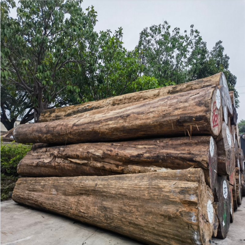 Kết cấu chống ăn m&ograve;n tinh tế v&agrave; kh&ocirc;ng bị nứt gỗ tếch Miến Điện nhập khẩu